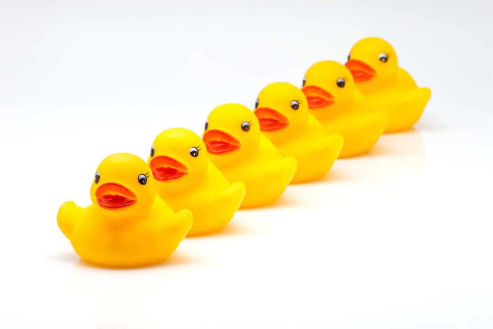 Five yellow rubber ducks arranged in a diagonal line on a white background.
